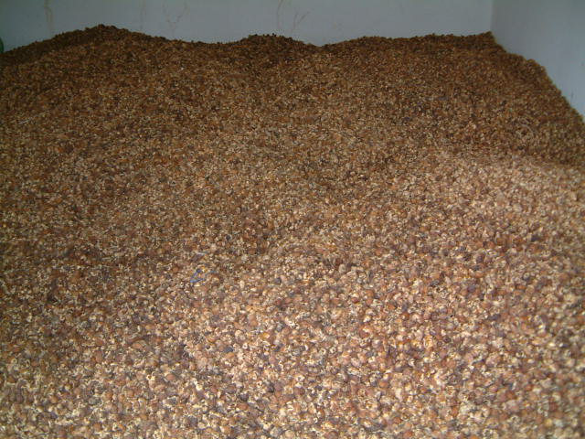Soapnuts shells, powder, soapnuts