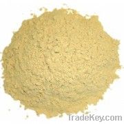 Peruvian Maca Powder