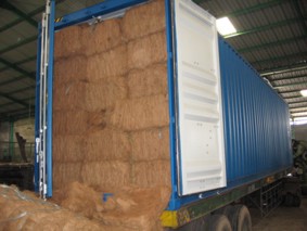 COIR FIBER