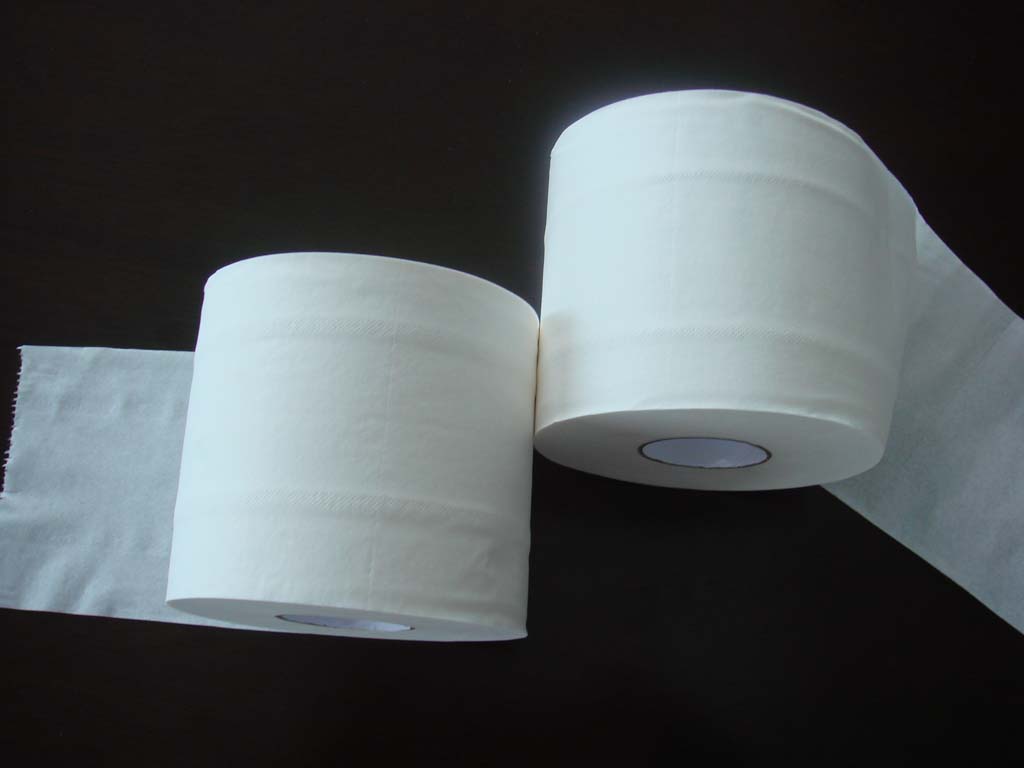 toilet paper