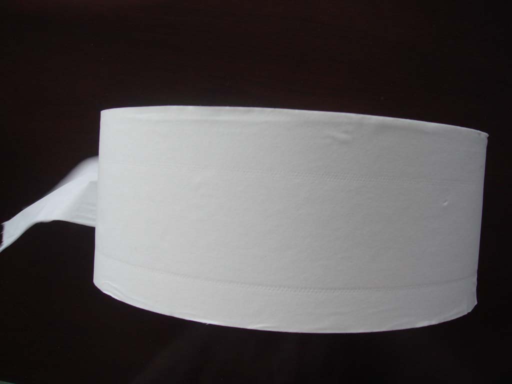 Jumbo toilet paper