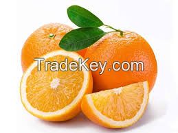 oranges ( fresh or dried )