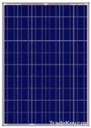 Poly Solar Module 100W