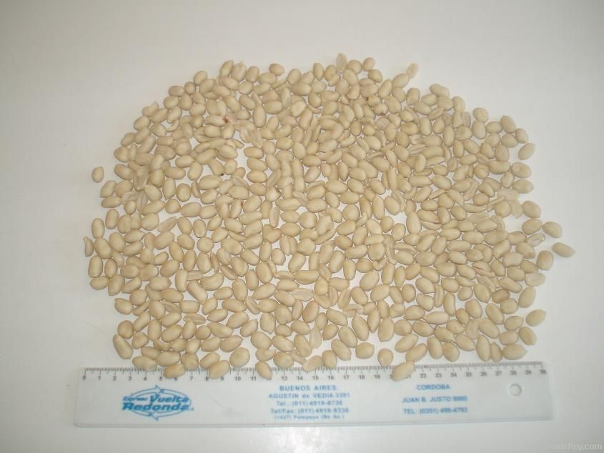 Blanched Peanuts