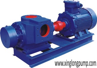 twin screw pump