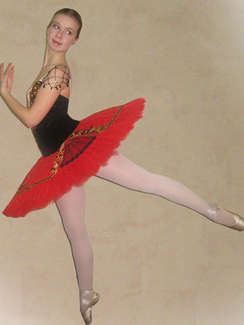 Professional Ballet costume Dulcinea