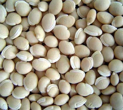 WHOLE VAAL BEANS