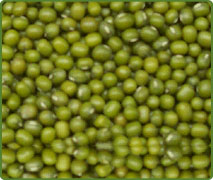 GREEN MUNG BEANS