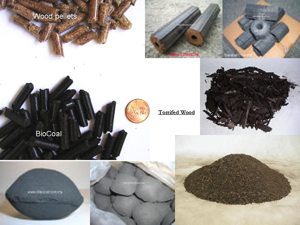 BIO COAL