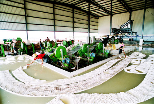 Natural Rubber Production Line