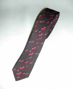 Fashion ties made in Italy