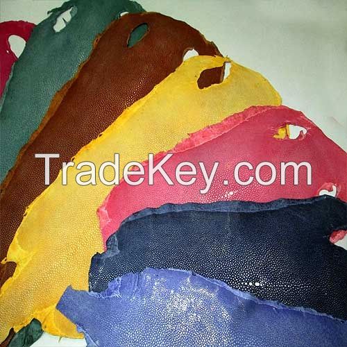Stingray leather for sale