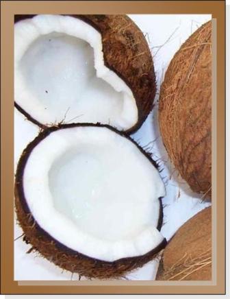 Dry coconut In Very Large Quantities