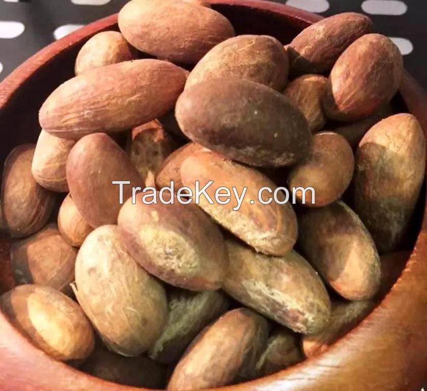 100% Organic Fresh African Bitter Kola Nuts/Garcinia kola Nuts