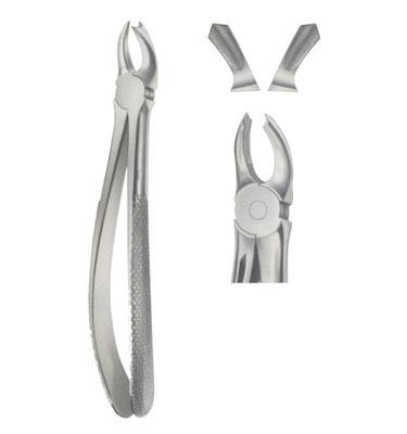 extracting forceps english pettren