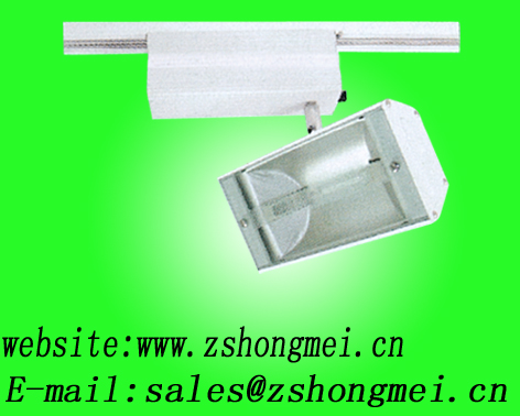 Metal Halide Lighting