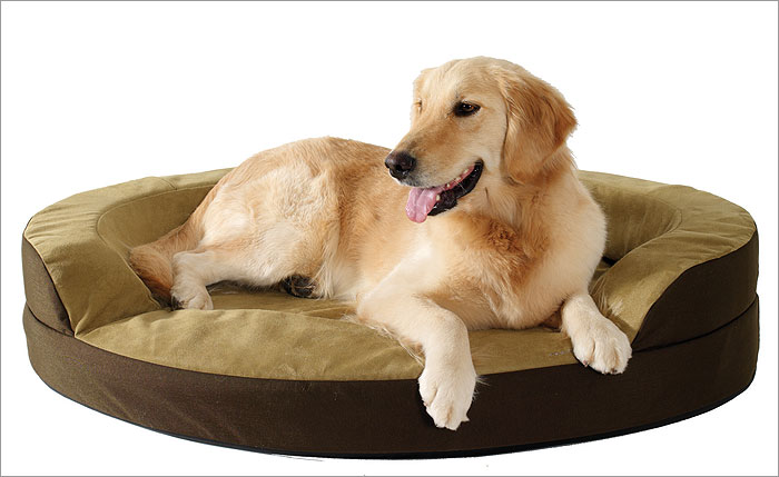 memory foam dog bed, dog cushion