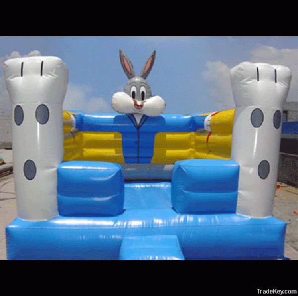 Inflatable Slide & Bounce