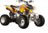 200CC ATV / Quad