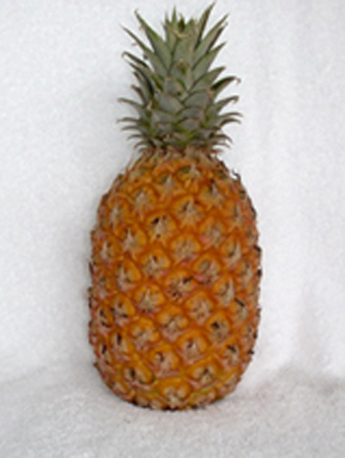 pineapple