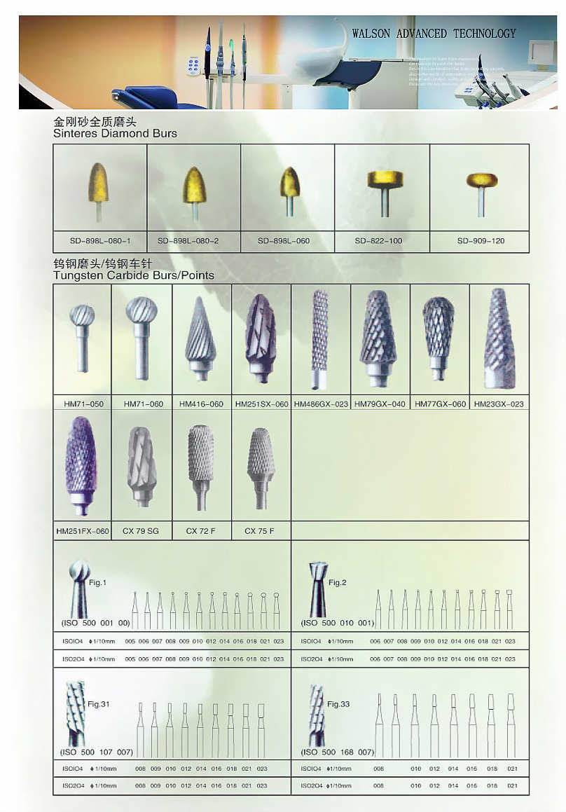 Carbide / Diamond Bur