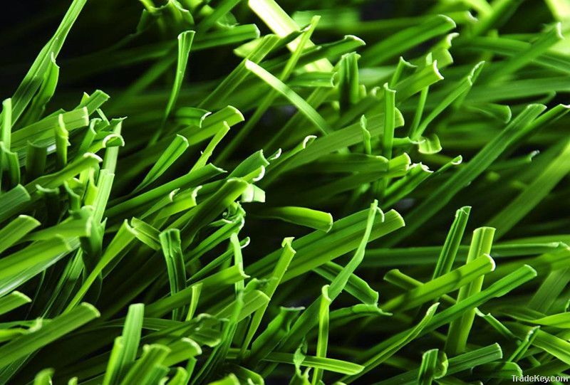 Artificial grass for football