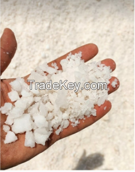 Sea salt / Road salt / Table salt 