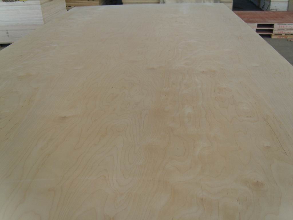 birch plywood, poplar plywood