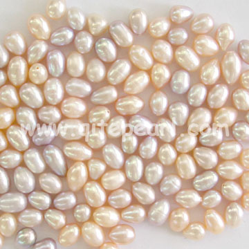 Rice Pearl