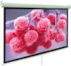 manual projection screen