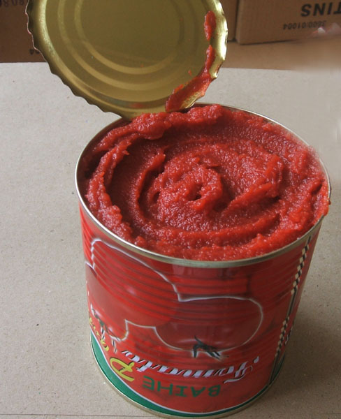 canned tomato paste