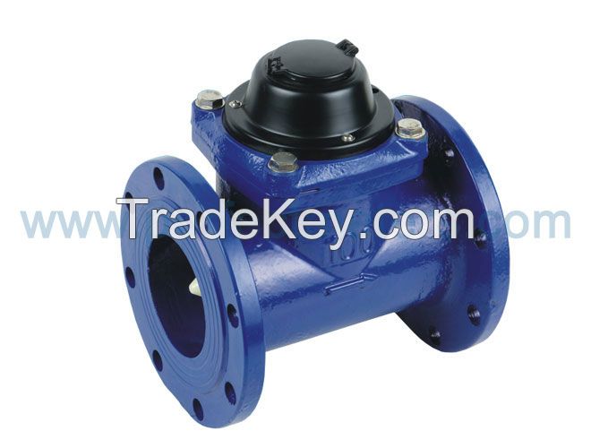 Woltman Industrial Water Meter (50mm to 400mm)