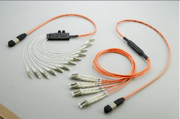 MPO fanout patchcord