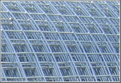 Welded wire mesh