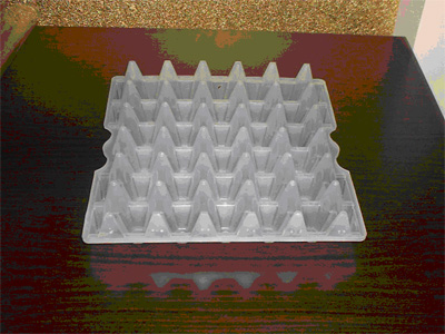 Plastic Egg Tray