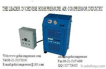 LYX100T6 Mini CNG Compressor