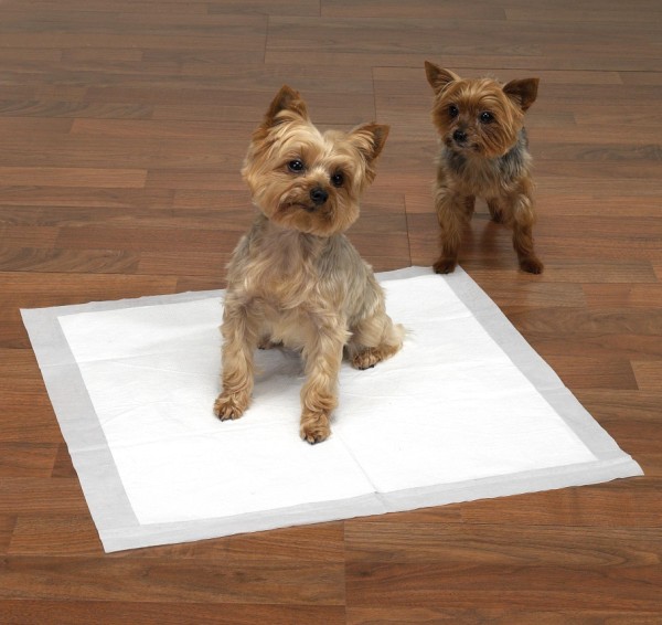 pet training pad