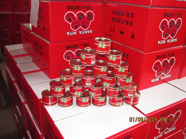 canned tomato paste