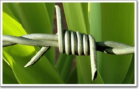 Supply barbed wire