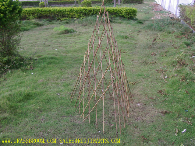 dried flat pine broom, witch whisk, pine fence, bamboo fence