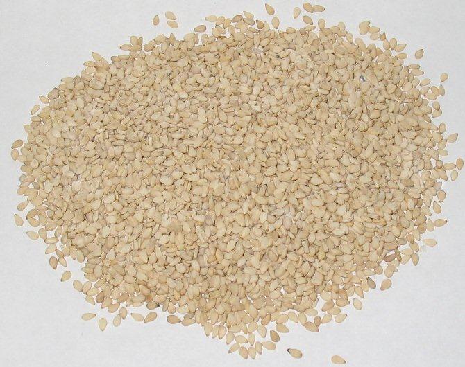 Natural Sesame Seed