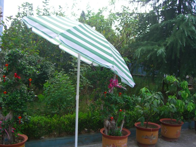 Beach umbrella