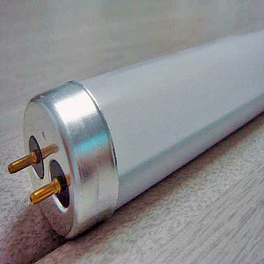 T8 tube