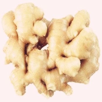 Top Natural Ginger P.E/Ginger Extract Gingerrols