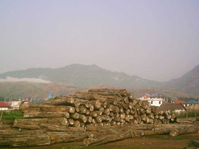 TEAK ROUND LOGS