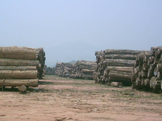 TEAK ROUND LOGS