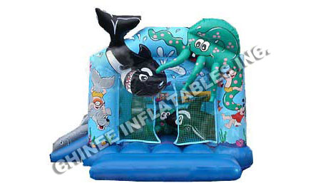 Inflatable Sea Bouncer