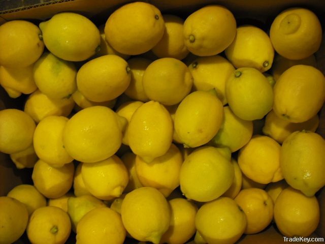 Mexican Lemon