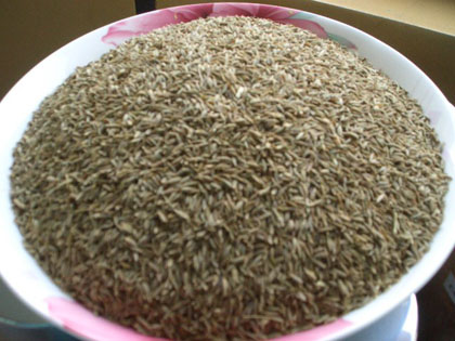 Cumin Seeds