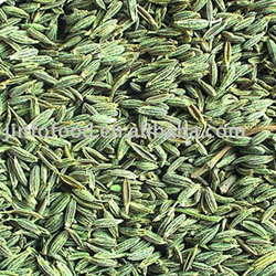 Fennel Seeds